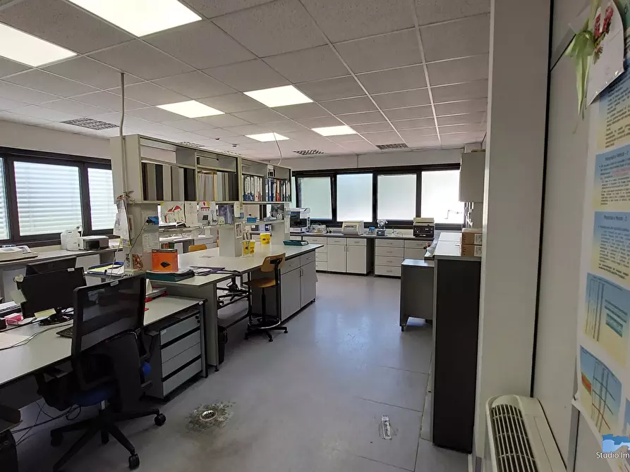 Immagine 8 di Capannone industriale in affitto  a Lessolo