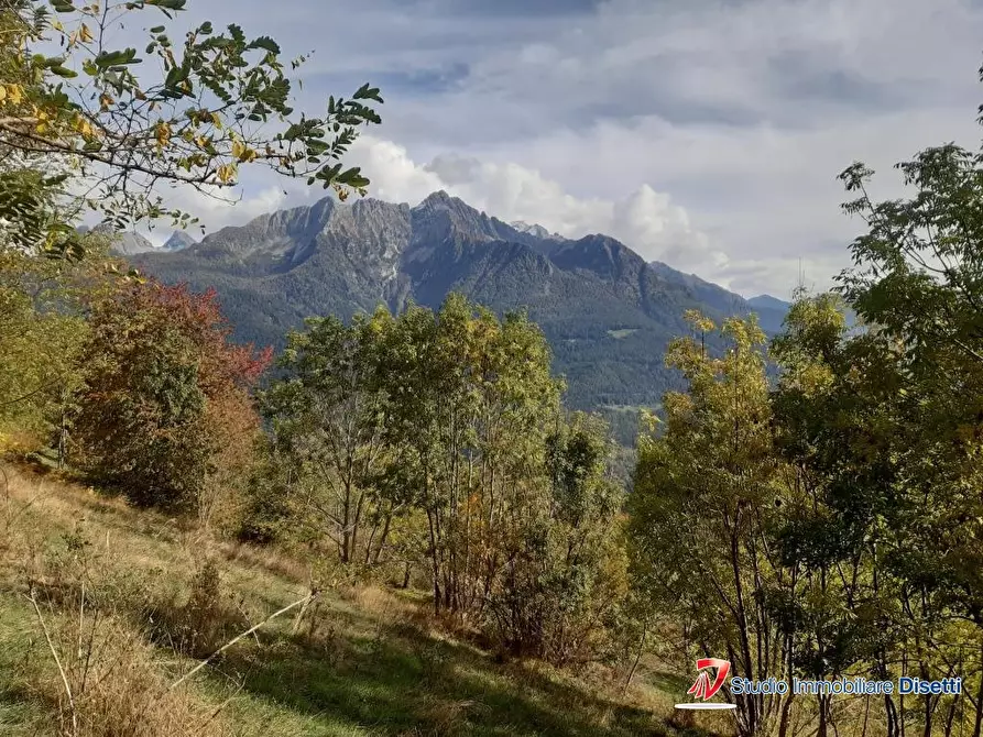 Immagine 5 di Rustico / casale in vendita  a Monno