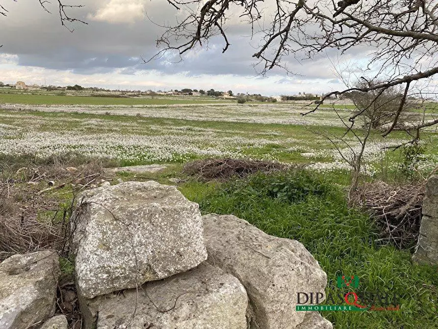 Immagine 10 di Terreno edificabile in vendita  a Ragusa