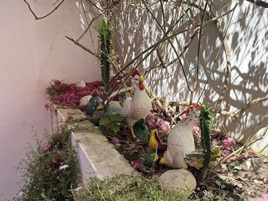 Immagine 7 di Villa in vendita  a Ragusa