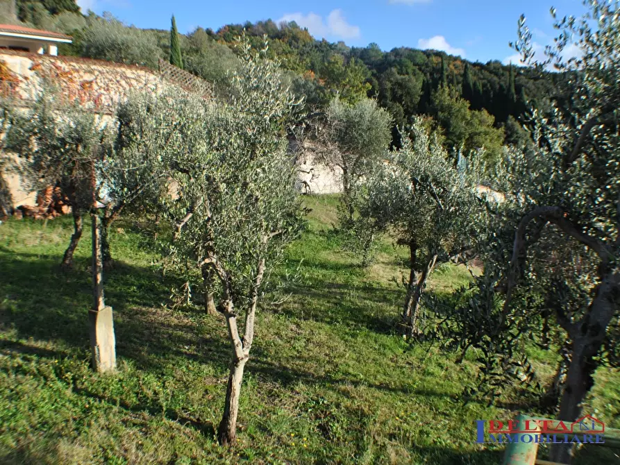 Immagine 2 di Villa in vendita  a Santa Luce