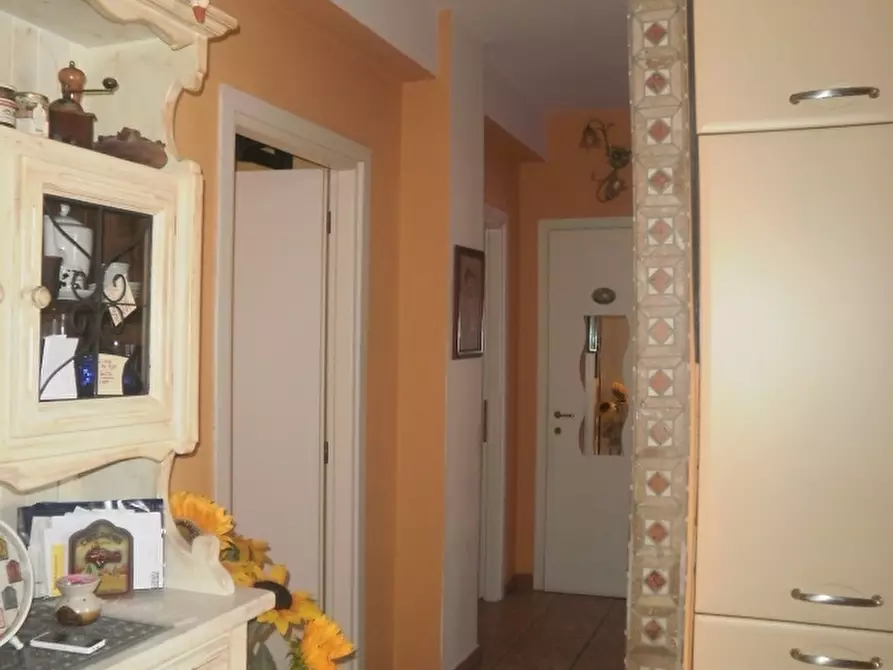 Immagine 4 di Appartamento in vendita  a Rosignano Marittimo