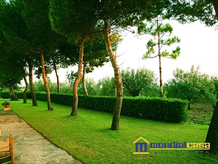 Immagine 4 di Villa in vendita  a Pachino