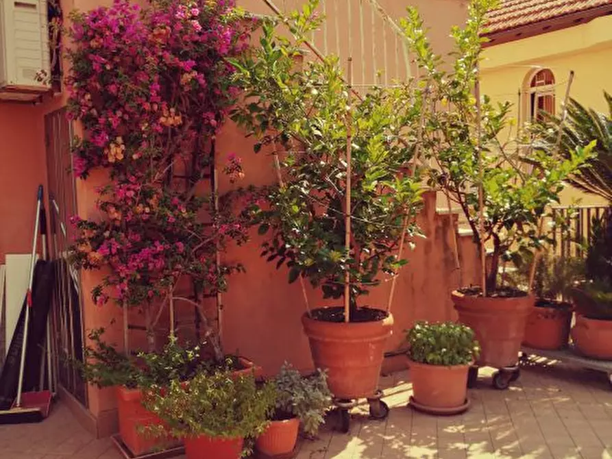 Immagine 2 di Casa semindipendente in vendita  a Ameglia