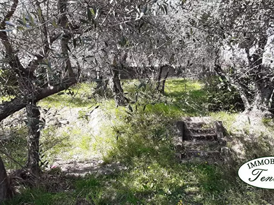 Immagine 2 di Casa semindipendente in vendita  a Fosdinovo