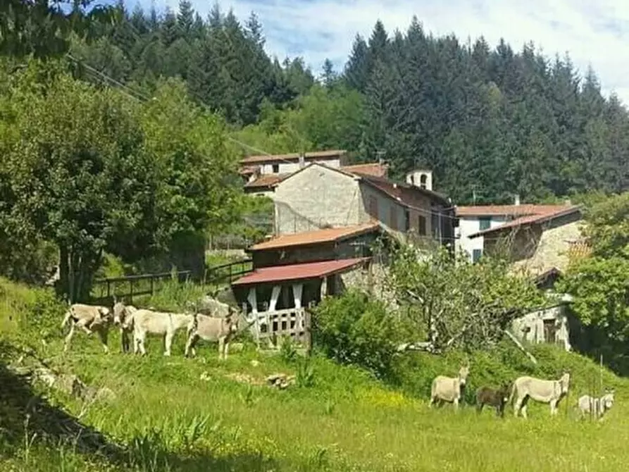 Immagine 7 di Loft/Open space in vendita  a Fivizzano