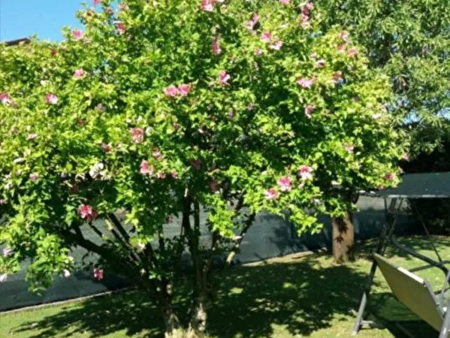 Immagine 2 di Rustico / casale in vendita  a Sarzana