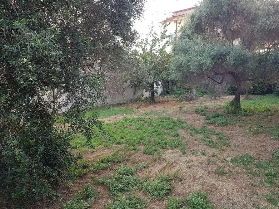 Immagine 5 di Terreno edificabile in vendita  a Casoria