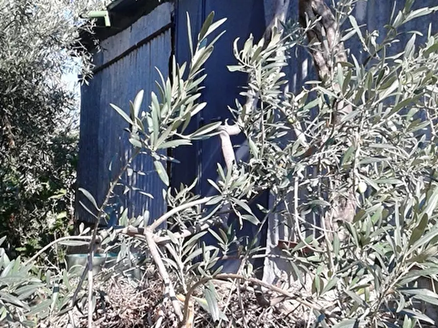 Immagine 6 di Terreno edificabile in vendita  a Messina