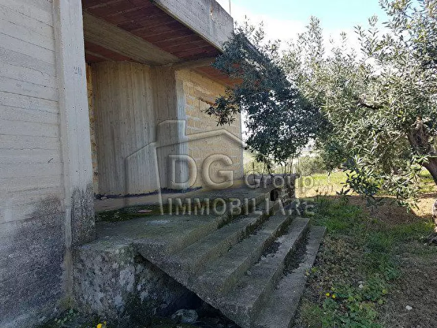 Immagine 3 di Appartamento in vendita  a Alcamo