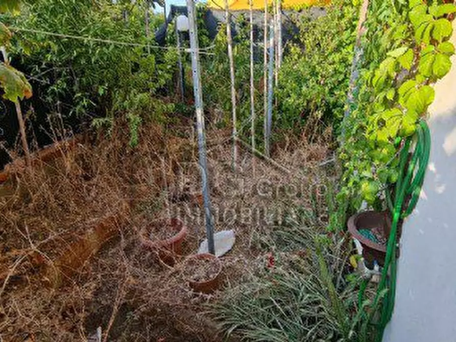 Immagine 5 di Casa indipendente in vendita  a Alcamo