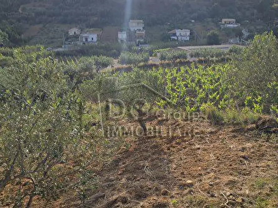 Immagine 10 di Rustico / casale in vendita  a Alcamo