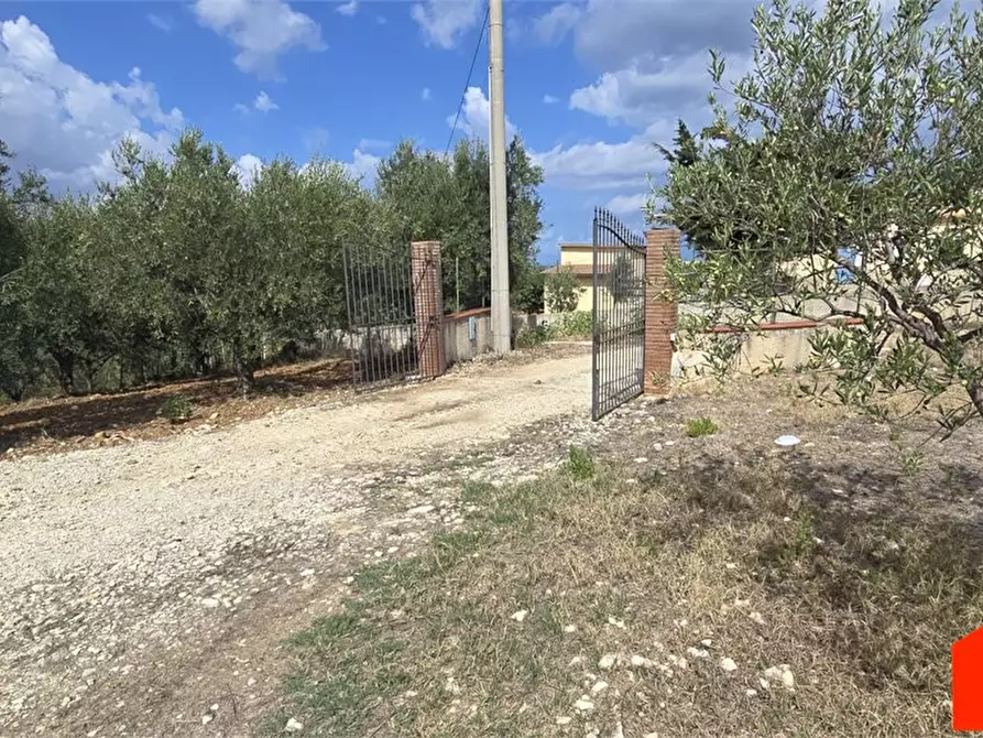 Immagine 6 di Casa indipendente in vendita  a Alcamo