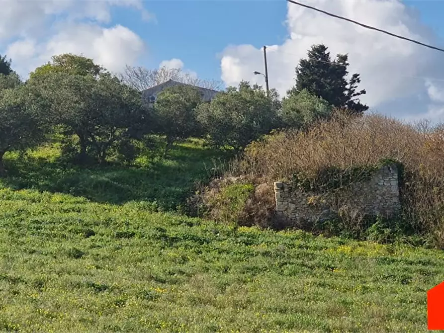 Immagine 7 di Terreno edificabile in vendita  a Castellammare Del Golfo