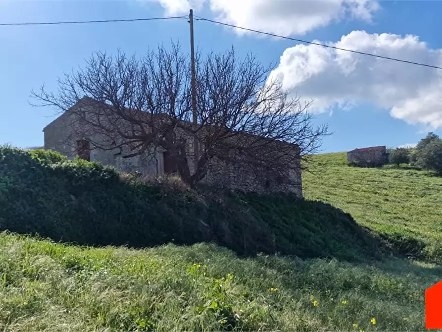 Immagine 5 di Terreno edificabile in vendita  a Castellammare Del Golfo
