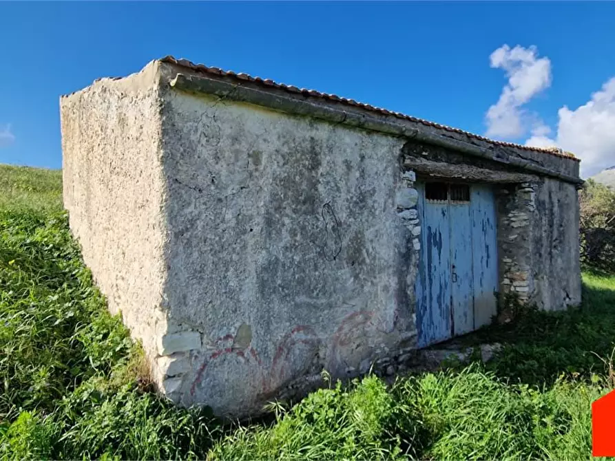 Immagine 6 di Terreno edificabile in vendita  a Castellammare Del Golfo