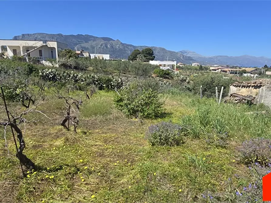 Immagine 10 di Villa in vendita  a Alcamo