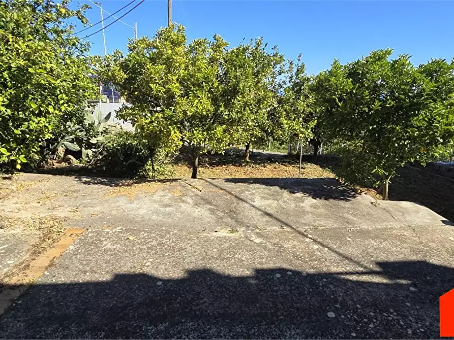 Immagine 10 di Villa in vendita  a Alcamo