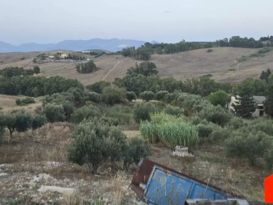 Immagine 5 di Villa in vendita  a Alcamo