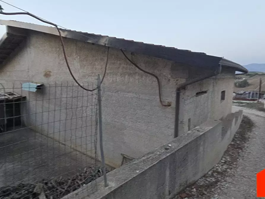 Immagine 2 di Villa in vendita  a Alcamo