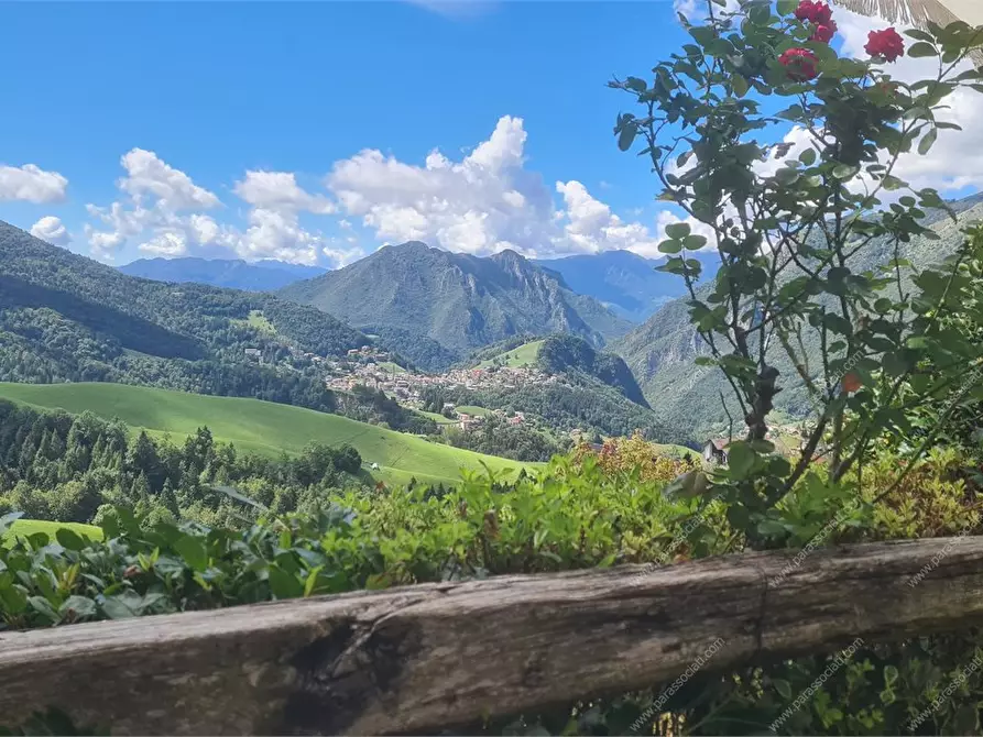 Immagine 4 di Appartamento in vendita  a Oltre Il Colle