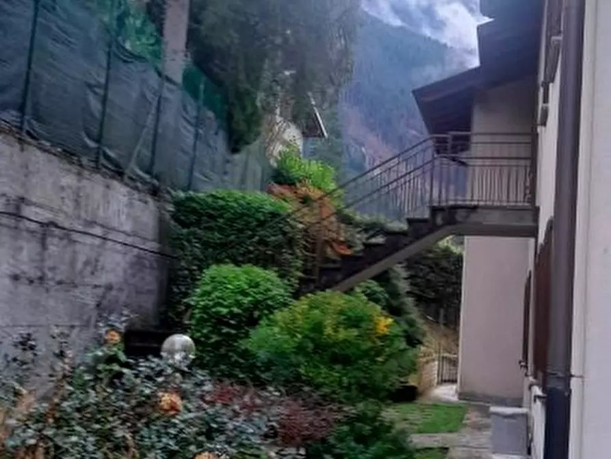 Immagine 5 di Appartamento in vendita  3 a Gandellino