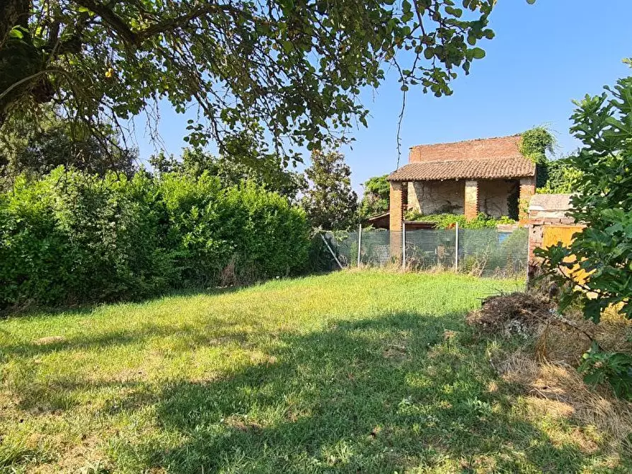 Immagine 3 di Rustico / casale in vendita  50 a Montu' Beccaria