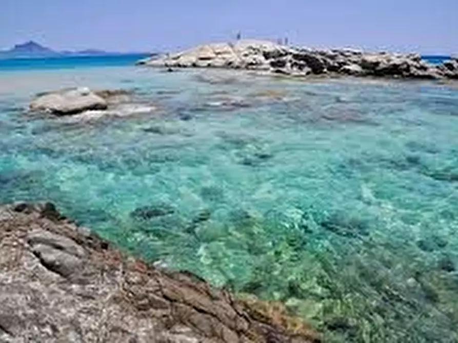 Immagine 2 di Rustico / casale in vendita  a Muravera