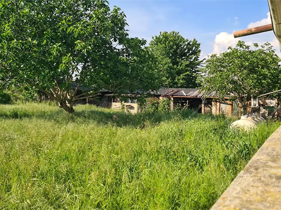 Immagine 5 di Rustico / casale in vendita  3 a Mezzana Bigli