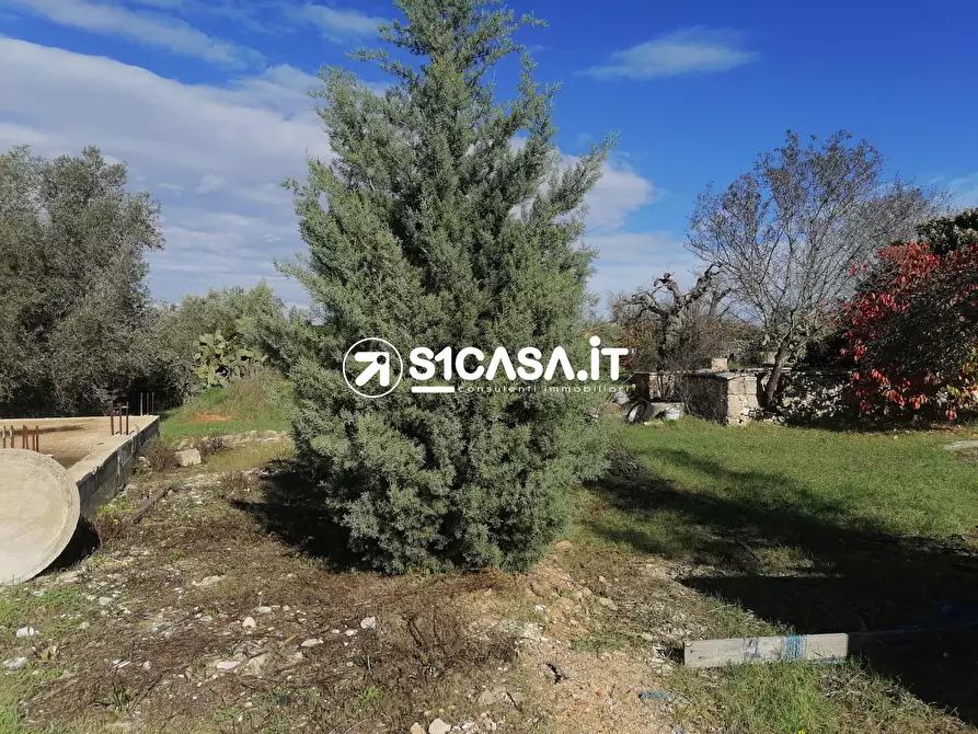 Immagine 3 di Terreno in vendita  a Galatone