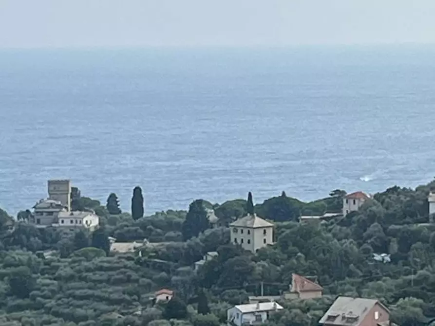 Immagine 2 di Appartamento in vendita  a Rapallo