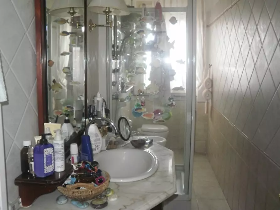 Immagine 8 di Appartamento in vendita  a Rosignano Marittimo