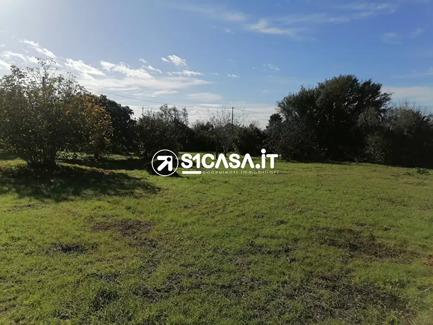 Immagine 6 di Terreno in vendita  a Galatone