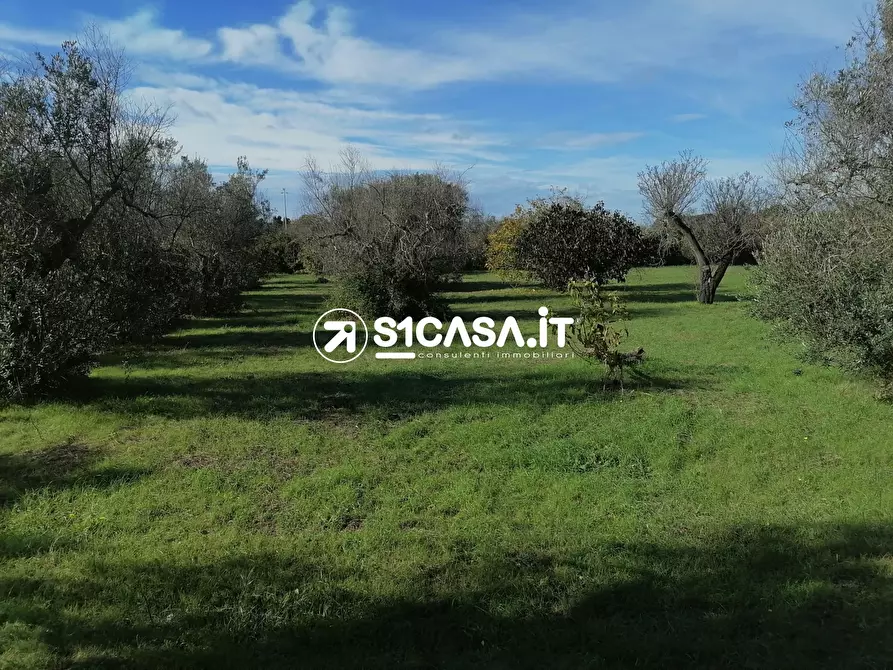 Immagine 4 di Terreno in vendita  a Galatone