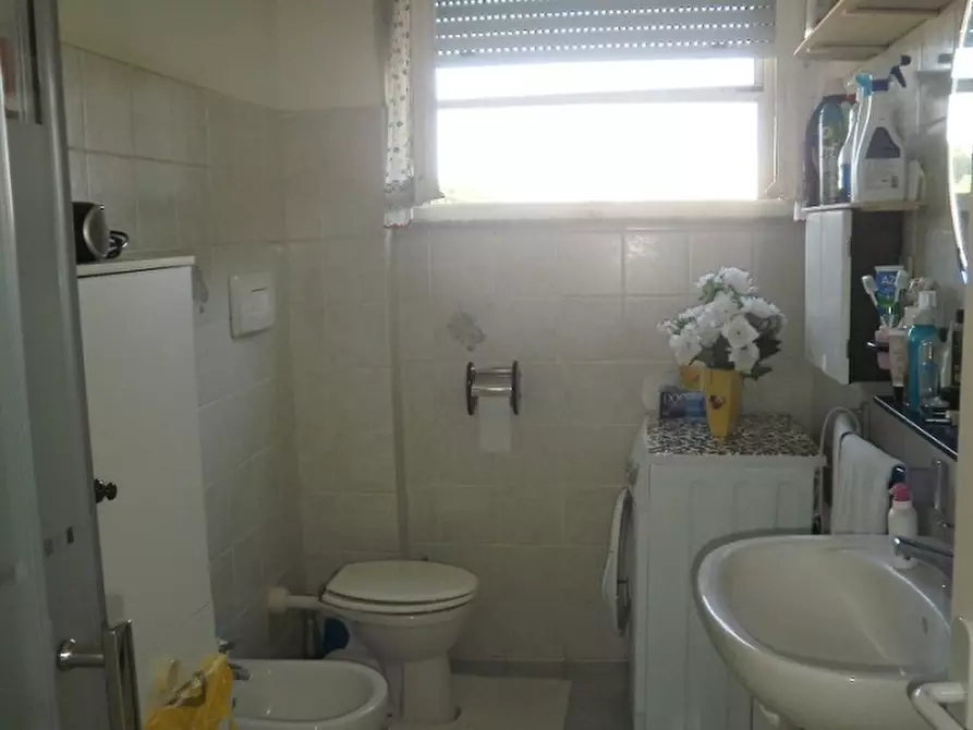 Immagine 9 di Appartamento in vendita  a Rosignano Marittimo