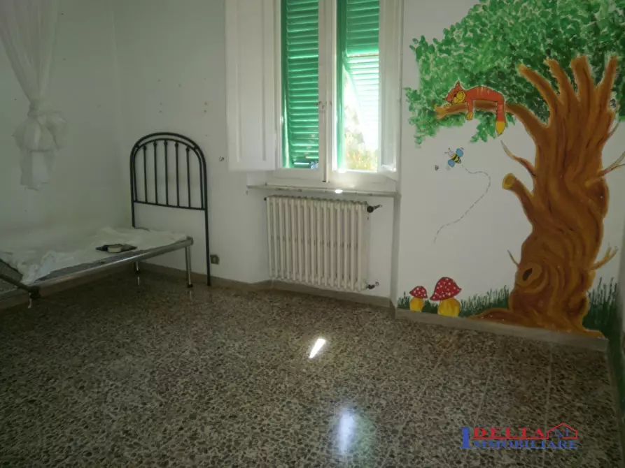 Immagine 9 di Appartamento in vendita  a Rosignano Marittimo