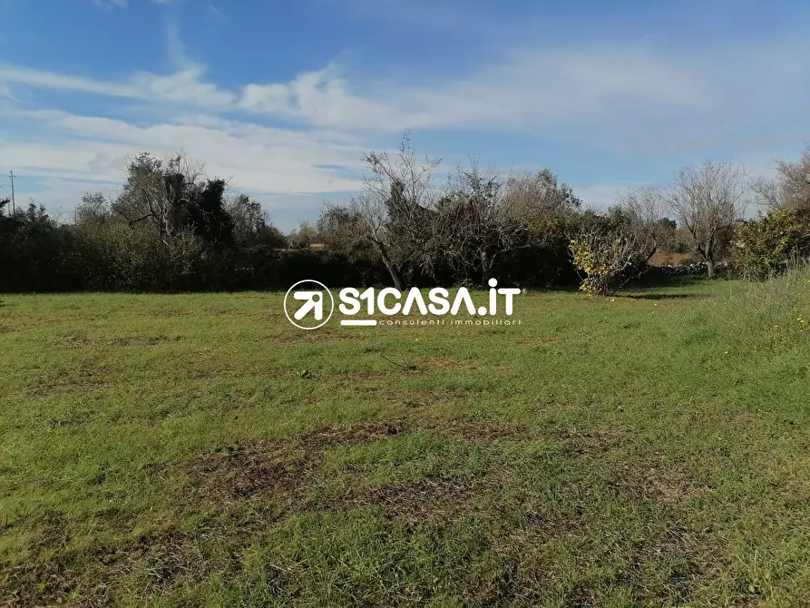 Immagine 5 di Terreno in vendita  a Galatone