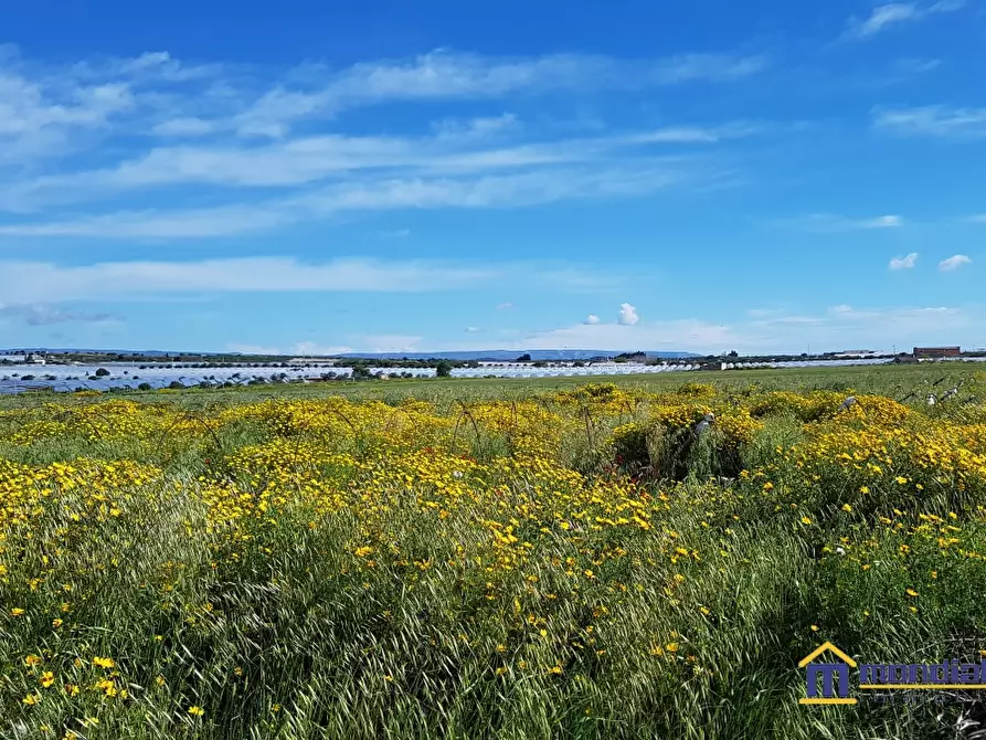 Immagine 6 di Terreno in vendita  a Noto