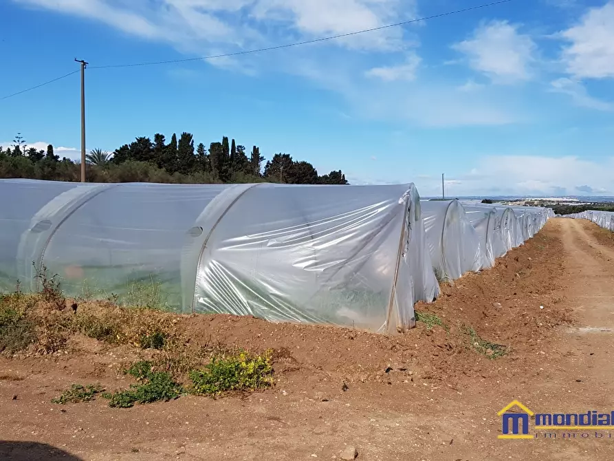 Immagine 9 di Terreno in vendita  a Noto