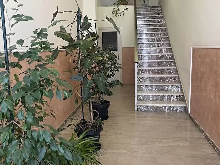 Immagine 4 di Appartamento in vendita  14 a Ragusa