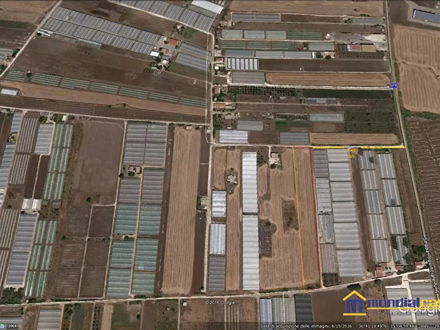 Immagine 3 di Terreno in vendita  a Pachino