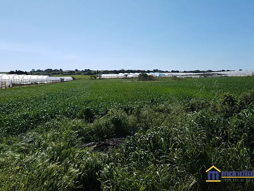 Immagine 4 di Terreno in vendita  a Pachino