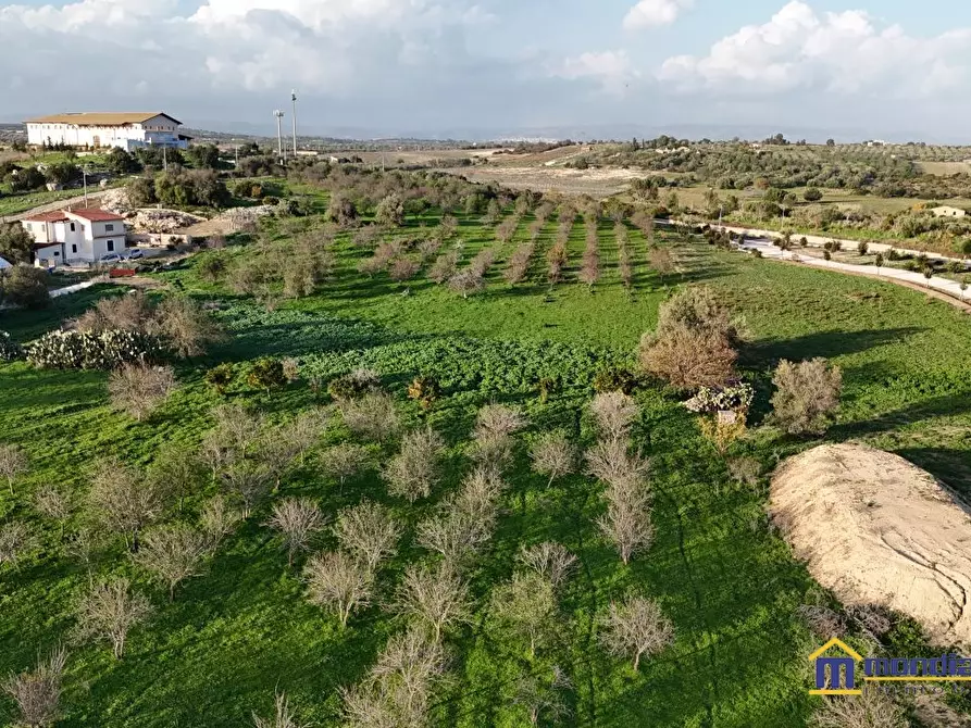 Immagine 10 di Terreno in vendita  a Noto