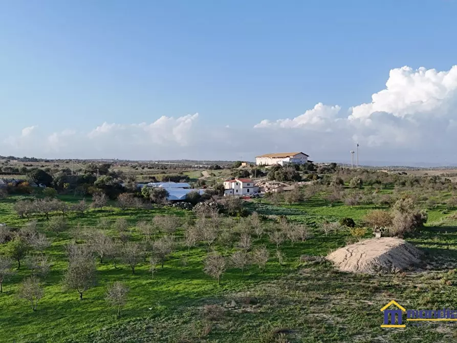Immagine 3 di Terreno in vendita  a Noto