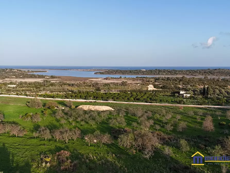 Immagine 4 di Terreno in vendita  a Noto