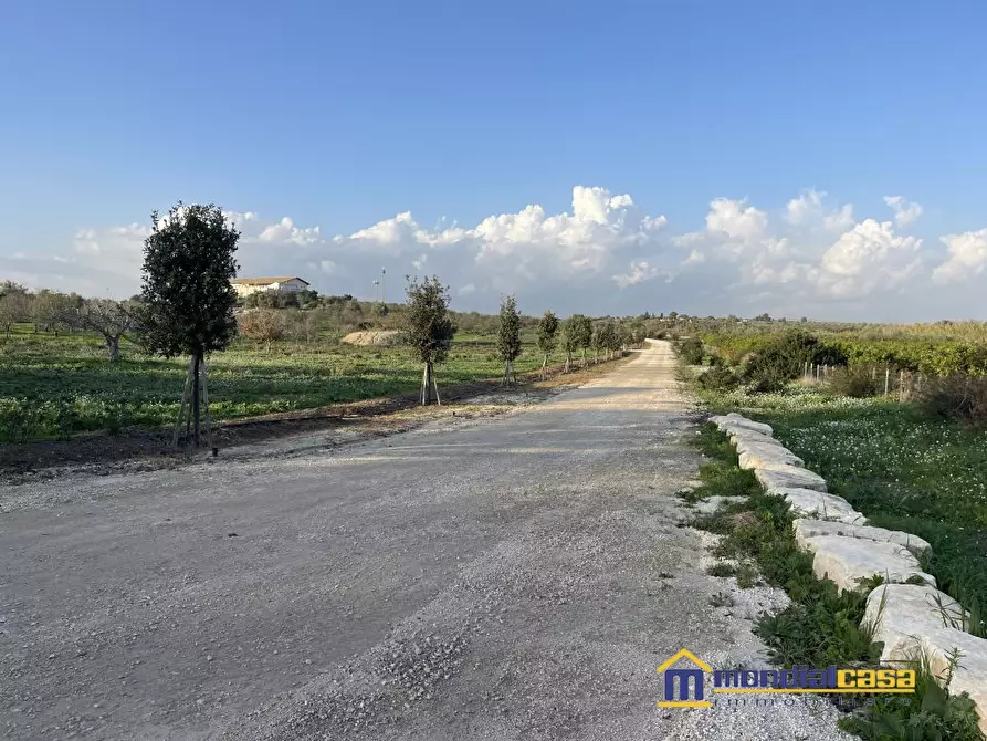Immagine 5 di Terreno in vendita  a Noto