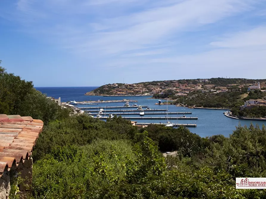 Immagine 5 di Villa in affitto  a Arzachena