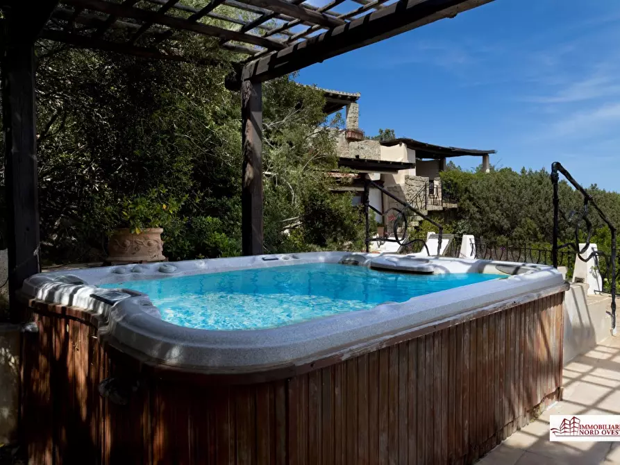 Immagine 7 di Villa in affitto  a Arzachena