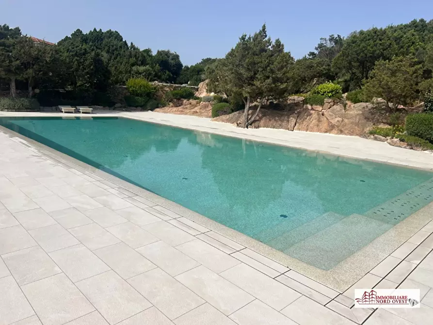 Immagine 2 di Villa in affitto  a Arzachena