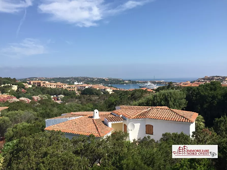 Immagine 1 di Villa in affitto  a Arzachena